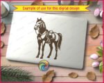 Saddled Horse - Image 2