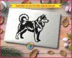 Black silhouette image of a standing Alaskan Malamute dog shown in full side profile. The malamute has a thick, detailed coat with layered fur texture across the chest, back, and legs. The tail curls up and over the back in the classic malamute curl. This malamute svg clipart vector is rendered in solid black on a transparent background with clean outlines and fine fur detail throughout the cut file image.