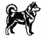 Black silhouette image of a standing Alaskan Malamute dog shown in full side profile. The malamute has a thick, detailed coat with layered fur texture across the chest, back, and legs. The tail curls up and over the back in the classic malamute curl. This malamute svg clipart vector is rendered in solid black on a transparent background with clean outlines and fine fur detail throughout the cut file image.