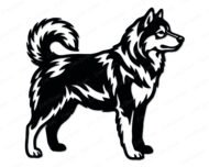 Black silhouette image of a standing Alaskan Malamute dog shown in full side profile. The malamute has a thick, detailed coat with layered fur texture across the chest, back, and legs. The tail curls up and over the back in the classic malamute curl. This malamute svg clipart vector is rendered in solid black on a transparent background with clean outlines and fine fur detail throughout the cut file image.
