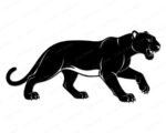 Black silhouette image of a panther walking low to the ground in a stalking pose, shown in full side profile. The panther's head is angled forward with a slightly open mouth showing teeth, and small eye detail visible. The body is long and muscular with a smooth curved back, and the tail sweeps down and back. All four legs are mid-stride with spread claws clearly defined. A clean panther vector silhouette svg on a transparent background.