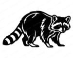 Black silhouette image of a walking raccoon shown in full side profile, with detailed textured fur markings across the body, a clearly defined striped ringed tail, and the distinctive masked face marking around the eyes. The raccoon is posed low to the ground mid-stride, giving the image a natural and realistic look. This raccoon svg clipart vector is saved on a transparent background with clean, bold outlines throughout the design.