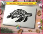 Sea Turtle - Image 2