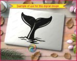 Whale Tail - Image 2