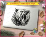 Growling Bear - Image 2