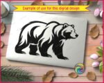Black silhouette image of a large grizzly bear walking with a strong posture. This detailed bear vector graphic highlights stylized fur patterns using negative space. It is a clean minimalist outline of a wild forest bear ideal as a digital cut file or high resolution png with transparent background. The silhouette capture shows the animal in profile heading right.