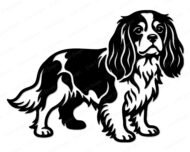 Black silhouette image of a Cavalier King Charles Spaniel standing in profile with long feathered ears, a fluffy curved tail, and detailed fur markings across its back and chest. This Cavalier King Charles Spaniel design shows the dog looking forward with soft rounded eyes and a gentle expression. The Cavalier King Charles Spaniel cut file has clean outlines suited for svg and png digital projects, shown as a transparent vector clipart graphic.