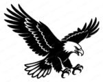 Black silhouette image of a bald eagle swooping downward with both wings spread wide, showing layers of detailed feather markings across the full wingspan. The eagle's head is turned to the right with a sharp beak and focused eye clearly visible. Both sets of talons are extended forward, open and ready to strike. This eagle svg clipart vector is rendered in solid black on a transparent background with clean, precise linework throughout every part of the bird.