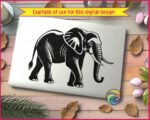 Silhouette image of a walking African elephant shown in side profile. The elephant faces right with its trunk curled slightly at the tip and tusks clearly visible. Fine line detail runs across the elephant's large ears, wrinkled legs, and textured skin, giving the image a woodcut or linocut style. This elephant svg clipart is a single-color vector design with a transparent background, clean outlines, and detailed internal line work that captures the natural weight and scale of a real elephant.
