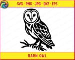 Black silhouette image of a barn owl perched on a tree branch. The barn owl has a heart shaped facial disc with detailed feather markings around large round eyes and a small hooked beak. The barn owl body shows layered tribal style feather patterns down the wings and chest, with sharp talons gripping a branch below. This barn owl design is shown as a clean vector outline on a transparent background, ideal as a digital clipart cut file.