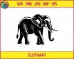 Silhouette image of a walking African elephant shown in side profile. The elephant faces right with its trunk curled slightly at the tip and tusks clearly visible. Fine line detail runs across the elephant's large ears, wrinkled legs, and textured skin, giving the image a woodcut or linocut style. This elephant svg clipart is a single-color vector design with a transparent background, clean outlines, and detailed internal line work that captures the natural weight and scale of a real elephant.