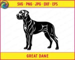 Black silhouette image of a great dane dog standing in a proud pose facing left. The great dane design features detailed inner line work across the body, legs, ears, and tail showing muscle definition and fur texture in a hand drawn style. This great dane svg is shown as a vector cut file with clean smooth edges on a transparent background, ideal for digital clipart use as a dog breed silhouette outline image.