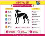 Black silhouette image of a greyhound standing in profile with a long slender neck, arched back, thin legs, and a curved tail. The design shows fine linework detailing the muscle tone and short coat typical of a whippet or italian greyhound. This vector cut file has a minimalist outline style, ideal as digital clipart, shown on a transparent background in svg and png format.