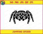 Black silhouette image of a jumping spider shown from the front, with eight large round eyes arranged across the top of the cephalothorax - four big eyes in the center and smaller eyes on each side. The jumping spider has thick, heavily textured hairy legs spread wide in a symmetrical pose, with detailed layered fur markings on every leg segment. The body is broad and compact, typical of a jumping spider, with visible fang-like pedipalps at the front. A bold black vector clipart png on a transparent background.