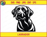 Black silhouette image of a labrador retriever head and shoulders looking slightly to the side. This labrador portrait has clean, distinct cutouts showing the shape of the ears, eyes, and muzzle. The labrador features are defined by solid black areas and open spaces, creating a detailed dog face. The neck curves downward, showing a strong, classic posture on a transparent background.