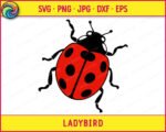 This ladybird svg shows a round red and black beetle with bold spots, curled antennae, and little folded legs peeking out from its shell. It comes as a high-quality vector with smooth lines on a transparent background, easy to cut and weed or use as clipart in printing and digital projects, and this red & black ladybug design is set up as a layered vector file so each colour cuts separately for a multi-layer decal. The rounded shape and playful pose of this spotted lady beetle give it a friendly, spring garden-fresh feel that makes it hard to resist adding to your next project.