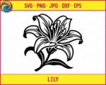 Black silhouette image of a lily flower in full bloom, showing a large tiger lily with wide open petals that curve and taper to fine points. The lily has detailed line work inside each petal suggesting veins and depth, along with prominent stamens rising from the center. Below the bloom, thick curling leaves and a long flowing stem sweep outward. The overall lily design has a rich, hand-drawn botanical illustration style with bold outlines and fine interior detail lines. A clipart svg vector lily cut file.
