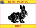 Black silhouette image of a rabbit looking right. This detailed rabbit illustration shows the full body of the animal in a sitting pose. The digital rabbit vector features smooth lines that give the appearance of fur texture, defining its ears, body, and short tail. It is a striking black outline of a rabbit, ready for use as a transparent SVG or PNG clipart. This animal silhouette is a clean, minimalist rabbit graphic.