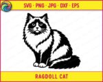 Black silhouette image of a sitting ragdoll cat with highly detailed, fluffy longhair fur. The design features a stylized pet portrait with distinct dark markings around the eyes and ears, contrasting with the lighter areas on the chest and body. This high resolution vector outline has smooth lines on a transparent background, depicting a fluffy longhair cat with a bushy tail, sweet eyes, and a soft expression.