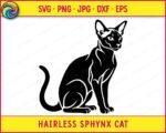 Black silhouette image of a hairless sphynx cat sitting with its head turned to the right. The sleek body of this sphynx cat is shown in a minimalist, detailed outline vector art style. Its large ears and slender features are clearly visible. This digital clipart image is a transparent PNG and SVG cut file, perfect for various projects. A distinct hairless sphynx cat silhouette.