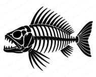 Black silhouette image of a detailed fish skeleton. This fish skeleton features visible rib bones, sharp teeth, and bony fins, presenting a complete skeletal structure. The transparent background makes this fish skeleton perfect for various digital projects. It is a clear, minimalist vector outline of a fish skeleton, ideal as a cut file or clipart.