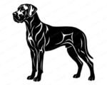 Black silhouette image of a great dane dog standing in a proud pose facing left. The great dane design features detailed inner line work across the body, legs, ears, and tail showing muscle definition and fur texture in a hand drawn style. This great dane svg is shown as a vector cut file with clean smooth edges on a transparent background, ideal for digital clipart use as a dog breed silhouette outline image.