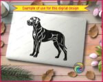 Black silhouette image of a great dane dog standing in a proud pose facing left. The great dane design features detailed inner line work across the body, legs, ears, and tail showing muscle definition and fur texture in a hand drawn style. This great dane svg is shown as a vector cut file with clean smooth edges on a transparent background, ideal for digital clipart use as a dog breed silhouette outline image.