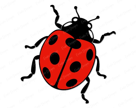 This ladybird svg shows a round red and black beetle with bold spots, curled antennae, and little folded legs peeking out from its shell. It comes as a high-quality vector with smooth lines on a transparent background, easy to cut and weed or use as clipart in printing and digital projects, and this red & black ladybug design is set up as a layered vector file so each colour cuts separately for a multi-layer decal. The rounded shape and playful pose of this spotted lady beetle give it a friendly, spring garden-fresh feel that makes it hard to resist adding to your next project.
