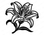 Black silhouette image of a lily flower in full bloom, showing a large tiger lily with wide open petals that curve and taper to fine points. The lily has detailed line work inside each petal suggesting veins and depth, along with prominent stamens rising from the center. Below the bloom, thick curling leaves and a long flowing stem sweep outward. The overall lily design has a rich, hand-drawn botanical illustration style with bold outlines and fine interior detail lines. A clipart svg vector lily cut file.