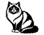 Black silhouette image of a sitting ragdoll cat with highly detailed, fluffy longhair fur. The design features a stylized pet portrait with distinct dark markings around the eyes and ears, contrasting with the lighter areas on the chest and body. This high resolution vector outline has smooth lines on a transparent background, depicting a fluffy longhair cat with a bushy tail, sweet eyes, and a soft expression.