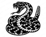 Black silhouette image of a coiled rattlesnake. The rattlesnake is shown with its mouth wide open, exposing its fangs, and its tongue flicking out. The distinctive shaker tail of the rattlesnake is clearly visible, coiled up behind its body. The body of the rattlesnake has detailed patterns, adding depth to the black vector outline. This digital clipart image is a clean rattlesnake svg design, perfect as a transparent cut file.