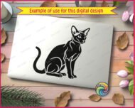Black silhouette image of a hairless sphynx cat sitting with its head turned to the right. The sleek body of this sphynx cat is shown in a minimalist, detailed outline vector art style. Its large ears and slender features are clearly visible. This digital clipart image is a transparent PNG and SVG cut file, perfect for various projects. A distinct hairless sphynx cat silhouette.