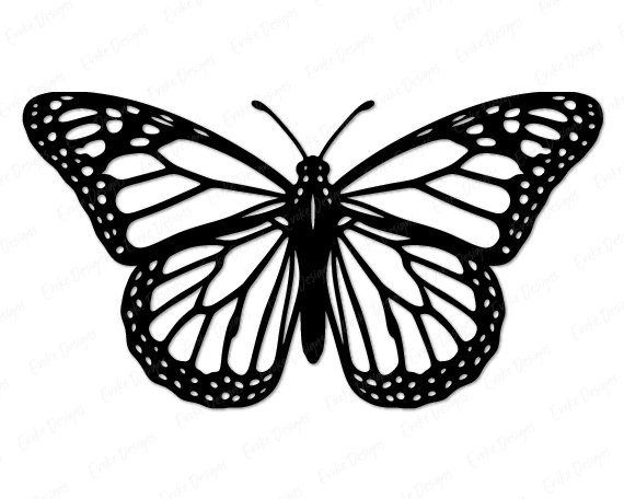Black silhouette image of a Monarch Butterfly with large open wings showing Detailed Butterfly Wings patterns, dotted borders, and fine vein lines. The butterfly has a rounded body, curved antennae, and symmetrical wing shapes inspired by a spring garden setting. This minimalist outline vector design works as an svg png cut file, digital clipart, and transparent silhouette graphic.