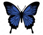 Layered colour image of a Ulysses Butterfly with wide open wings shown in deep blue and solid black. This garden butterfly design features detailed vein lines across each wing, a rounded black body, thin curved antennae, and long tapered lower wing tips. The butterfly with blue wings is set on a transparent background, styled as a vector cut file with clean smooth outlines suitable as digital clipart or a layered svg cut file.