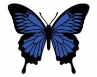 Layered colour image of a Ulysses Butterfly with wide open wings shown in deep blue and solid black. This garden butterfly design features detailed vein lines across each wing, a rounded black body, thin curved antennae, and long tapered lower wing tips. The butterfly with blue wings is set on a transparent background, styled as a vector cut file with clean smooth outlines suitable as digital clipart or a layered svg cut file.