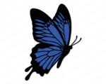 Layered colour image of a Ulysses Butterfly shown in flight with wide open wings, deep blue and black coloring, detailed vein patterns across each wing, and two long curled antennae. This colorful garden butterfly design is a flying butterfly with blue wings, presented as a layered vector cut file with transparent background, ideal as svg, png, and clipart for digital or print use.