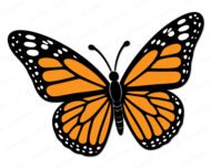 Layered colour image of a monarch butterfly with open wings, showing a butterfly with orange black wings and detailed vein lines. The wings have bold black outlines with rows of white dots along the edges, resembling a spring garden butterfly. Colours include orange, black, and white on a transparent background, shown as a vector cut file suitable for svg, png, and digital clipart use.