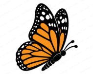 Layered colour image of a monarch butterfly shown from a side profile. This butterfly with orange & black wings features bright orange wing panels outlined by a thick black border and delicate white spots along the edges. This spring garden butterfly digital vector design has clean lines and solid colors, perfect for a layered cut file or transparent clipart.