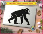 Black silhouette image of a chimpanzee walking on all fours, shown from a side profile view. This clean vector outline captures the natural shape of the jungle chimp with detailed fur texture along its back and head. The solid black shape is isolated, creating a minimalist jungle monkey ape silhouette. Perfect as a digital stencil, cut file, png, or svg clipart.