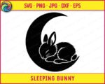 Black silhouette image of a sleeping bunny curled up on a crescent moon. The sleepy baby rabbit is shown in profile, with long ears, a fluffy tail, and closed eyes as it rests peacefully. This nursery nap time bunny is solid black with clean white outline details tracing its fur and body shape. The design sits inside a wide, smooth crescent moon shape, creating a cozy night sky graphic.