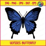 Layered colour image of a Ulysses Butterfly with wide open wings shown in deep blue and solid black. This garden butterfly design features detailed vein lines across each wing, a rounded black body, thin curved antennae, and long tapered lower wing tips. The butterfly with blue wings is set on a transparent background, styled as a vector cut file with clean smooth outlines suitable as digital clipart or a layered svg cut file.