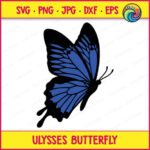 Layered colour image of a Ulysses Butterfly shown in flight with wide open wings, deep blue and black coloring, detailed vein patterns across each wing, and two long curled antennae. This colorful garden butterfly design is a flying butterfly with blue wings, presented as a layered vector cut file with transparent background, ideal as svg, png, and clipart for digital or print use.