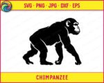 Black silhouette image of a chimpanzee walking on all fours, shown from a side profile view. This clean vector outline captures the natural shape of the jungle chimp with detailed fur texture along its back and head. The solid black shape is isolated, creating a minimalist jungle monkey ape silhouette. Perfect as a digital stencil, cut file, png, or svg clipart.