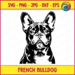 Black silhouette image of a french bulldog face shown as a pet dog portrait, featuring large upright bat ears, a short wrinkled snout, and round eyes. This frenchie dog design is a minimalist outline vector cut file, saved as svg and png with a transparent background, made for clipart and craft projects.