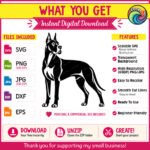 Black silhouette image of a great dane standing in side profile and turning its head to look back. This pet dog portrait shows the athletic build of the giant dog breed, with cropped ears, a strong chest, and a long tail. The graphic uses solid black shapes and negative space highlights for muscle detail. It is a clean vector outline on a transparent background, ideal as a cut file.