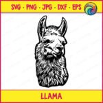 Black silhouette image of a llama with a relaxed happy face and fluffy neck fur, shown as a funny alpaca style farm animal graphic. This no drama llama farm animal design is a minimalist outline vector clipart, perfect as a transparent png or svg cut file for digital and print projects.