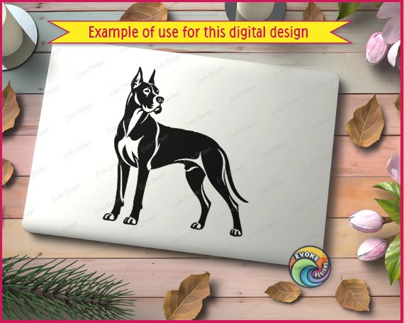 Black silhouette image of a great dane standing in side profile and turning its head to look back. This pet dog portrait shows the athletic build of the giant dog breed, with cropped ears, a strong chest, and a long tail. The graphic uses solid black shapes and negative space highlights for muscle detail. It is a clean vector outline on a transparent background, ideal as a cut file.