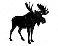Black silhouette image of a mature standing moose shown from the side. This digital vector graphic highlights the distinct shape of the animal with its large, wide wild moose antlers and heavy body. The minimalist outline captures the raw spirit of canadian wildlife in a clean cutout design. It features a solid black shape on a clean transparent background, perfect as a detailed svg or png template.