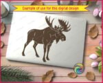 Black silhouette image of a mature standing moose shown from the side. This digital vector graphic highlights the distinct shape of the animal with its large, wide wild moose antlers and heavy body. The minimalist outline captures the raw spirit of canadian wildlife in a clean cutout design. It features a solid black shape on a clean transparent background, perfect as a detailed svg or png template.