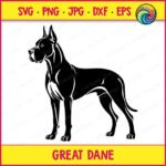 Black silhouette image of a great dane standing in a side profile view. This giant dog breed has a powerful frame, cropped ears pointing upwards, and a sleek body shape. The design features clean cut lines showing muscle detail on a transparent background. This pet dog portrait vector works as an outline, svg, png, or digital cut file clipart for custom projects.